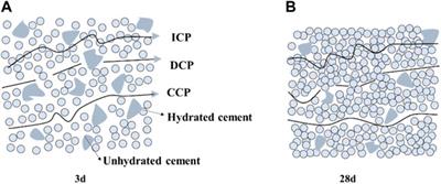 Monitoring the hydration behavior of hardened cement paste affected by different environmental pH regimes